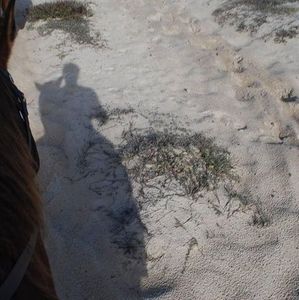 Meet your Posher, Oscar